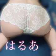 ヒメ日記 2025/04/15 14:50 投稿 はるあ 京都出張メンズエステChou Chou（シュシュ)