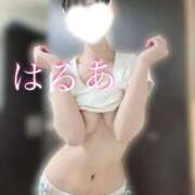 ヒメ日記 2025/04/16 18:20 投稿 はるあ 京都出張メンズエステChou Chou（シュシュ)