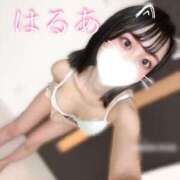 ヒメ日記 2025/04/19 12:20 投稿 はるあ 京都出張メンズエステChou Chou（シュシュ)