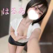 ヒメ日記 2025/04/22 12:20 投稿 はるあ 京都出張メンズエステChou Chou（シュシュ)