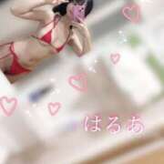 ヒメ日記 2025/04/26 10:10 投稿 はるあ 京都出張メンズエステChou Chou（シュシュ)