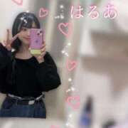 ヒメ日記 2025/04/26 14:06 投稿 はるあ 京都出張メンズエステChou Chou（シュシュ)