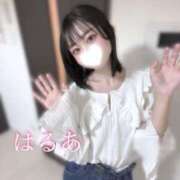 ヒメ日記 2025/06/06 10:20 投稿 はるあ 京都出張メンズエステChou Chou（シュシュ)