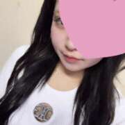 ヒメ日記 2025/04/01 11:28 投稿 ろぜ ホテルだヨ！全員集合