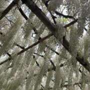 ヒメ日記 2025/05/01 12:31 投稿 夢乃ゆら ハマヘル同好会（横浜ハレ系）