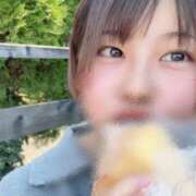 ヒメ日記 2025/03/22 19:10 投稿 ゆい【FG系列】 フィーリングin厚木【FG系列】