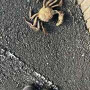 ヒメ日記 2025/05/02 09:58 投稿 ゆい【FG系列】 フィーリングin厚木【FG系列】