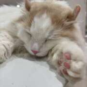 ヒメ日記 2025/06/21 13:44 投稿 ゆい【FG系列】 フィーリングin厚木【FG系列】