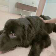 ヒメ日記 2025/09/14 16:10 投稿 ゆい【FG系列】 フィーリングin厚木【FG系列】