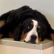 ヒメ日記 2025/10/04 19:51 投稿 ゆい【FG系列】 フィーリングin厚木【FG系列】