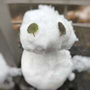 ヒメ日記 2026/01/21 09:18 投稿 ゆい【FG系列】 フィーリングin厚木【FG系列】