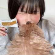 ヒメ日記 2026/03/30 22:42 投稿 ゆい【FG系列】 フィーリングin厚木【FG系列】