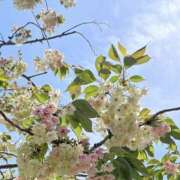 ヒメ日記 2026/04/13 15:30 投稿 ゆい【FG系列】 フィーリングin厚木【FG系列】