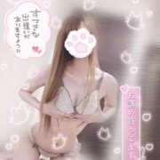 ヒメ日記 2025/03/13 17:44 投稿 ♡せりな♡ アイコレクション女学院