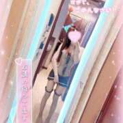 ヒメ日記 2025/03/23 01:47 投稿 ♡せりな♡ アイコレクション女学院