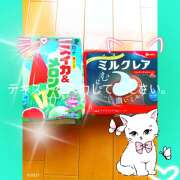 ヒメ日記 2025/07/01 09:05 投稿 るい しゅうかつ倶楽部