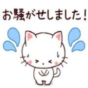 ヒメ日記 2025/12/08 13:24 投稿 エリカ【漏れる吐息に秘密の情事】 秘書コレクション 高松店