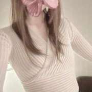 ヒメ日記 2025/04/01 14:01 投稿 りさ ナイトヴィーナス