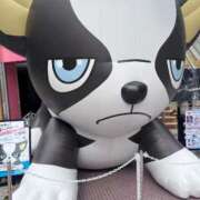 ヒメ日記 2025/06/05 04:28 投稿 ろぜ【超モデル級極美女】 STELLA TOKYO－ステラトウキョウ－