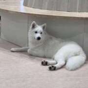 ヒメ日記 2026/01/05 06:34 投稿 ろぜ【超モデル級極美女】 STELLA TOKYO－ステラトウキョウ－