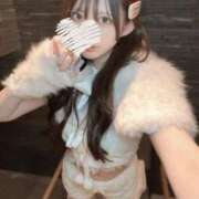 ヒメ日記 2026/01/27 05:17 投稿 ろぜ【超モデル級極美女】 STELLA TOKYO－ステラトウキョウ－