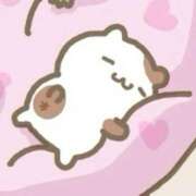 ヒメ日記 2026/02/07 22:55 投稿 ろぜ【超モデル級極美女】 STELLA TOKYO－ステラトウキョウ－