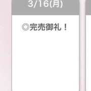 ヒメ日記 2026/03/17 03:31 投稿 ろぜ【超モデル級極美女】 STELLA TOKYO－ステラトウキョウ－