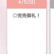 ヒメ日記 2026/04/06 02:43 投稿 ろぜ【超モデル級極美女】 STELLA TOKYO－ステラトウキョウ－