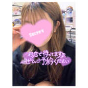 ヒメ日記 2025/03/20 17:02 投稿 ひびき 八尾藤井寺羽曳野ちゃんこ