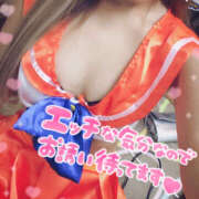 ヒメ日記 2025/03/24 15:51 投稿 ひびき 八尾藤井寺羽曳野ちゃんこ