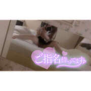 ヒメ日記 2025/06/16 19:53 投稿 ひびき 八尾藤井寺羽曳野ちゃんこ