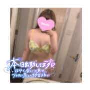 ヒメ日記 2025/09/12 16:40 投稿 ひびき 八尾藤井寺羽曳野ちゃんこ