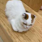 ヒメ日記 2025/05/02 20:55 投稿 かえで 柏人妻花壇