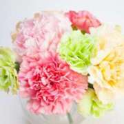 ヒメ日記 2025/05/09 21:46 投稿 かえで 柏人妻花壇