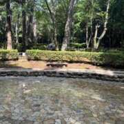 ヒメ日記 2025/08/03 13:00 投稿 かえで 柏人妻花壇