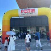 ヒメ日記 2025/08/16 07:10 投稿 かえで 柏人妻花壇