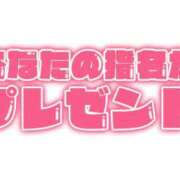 ヒメ日記 2026/02/21 06:33 投稿 かえで 柏人妻花壇
