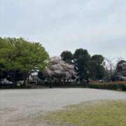 ヒメ日記 2026/04/06 06:39 投稿 かえで 柏人妻花壇