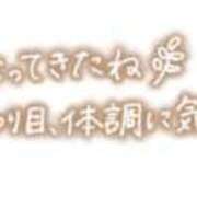 ヒメ日記 2026/10/13 08:12 投稿 かえで 柏人妻花壇