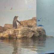 ヒメ日記 2025/11/14 16:52 投稿 もに 新宿サンキュー