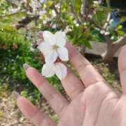 ヒメ日記 2026/04/04 10:35 投稿 にいな 大宮人妻デリヘル～大人の事情～