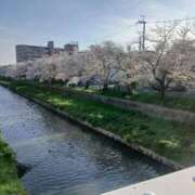 ヒメ日記 2026/04/06 17:45 投稿 にいな 大宮人妻デリヘル～大人の事情～