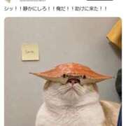 ヒメ日記 2026/09/22 13:00 投稿 にいな 大宮人妻デリヘル～大人の事情～