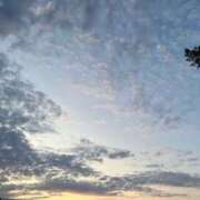 ヒメ日記 2025/07/30 20:33 投稿 かりん 花火-hanabi-(すすきの)