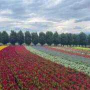 ヒメ日記 2025/09/18 14:33 投稿 かりん 花火-hanabi-(すすきの)