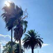 ヒメ日記 2025/11/02 11:43 投稿 かりん 花火-hanabi-(すすきの)