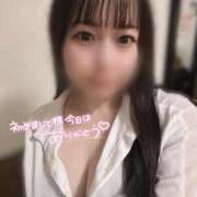 ヒメ日記 2025/03/19 01:15 投稿 沖田　おと スタイリッシュ秘書