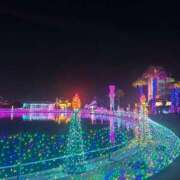 ヒメ日記 2025/12/11 06:00 投稿 えりな ドンファン