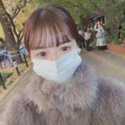 ヒメ日記 2025/11/21 12:10 投稿 あん E+アイドルスクール