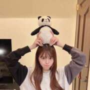 ヒメ日記 2025/12/21 03:36 投稿 あん E+アイドルスクール